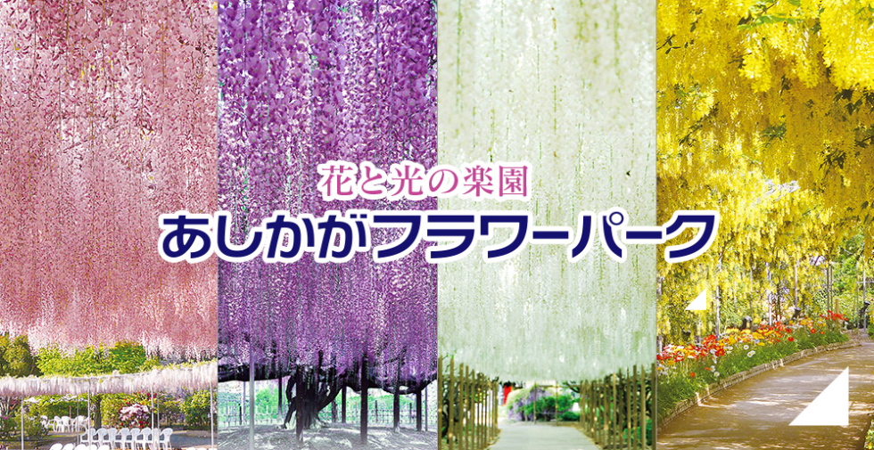 あしかがフラワーパーク