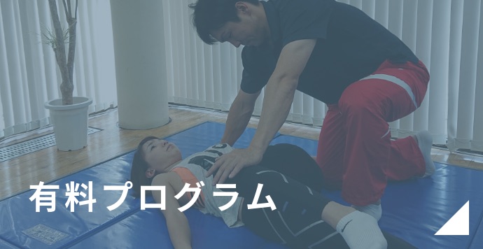 有料プログラム