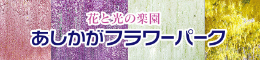 花と光の楽園 あしかがフラワーパーク